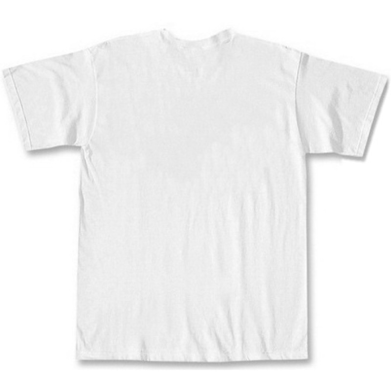 Solstafir - Raven White T-Shirt