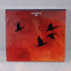 Stellar Descent - ...fading... CD
