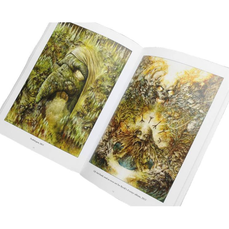 Owls, Trolls & Dead King's Skulls: The Art Of David Thierree Book