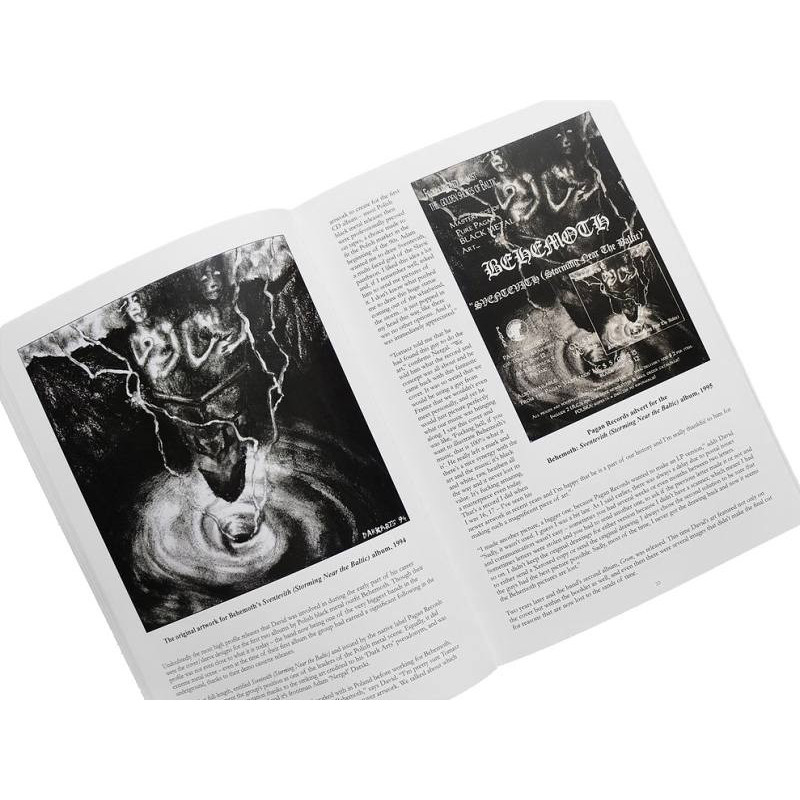 Owls, Trolls & Dead King's Skulls: The Art Of David Thierree Book