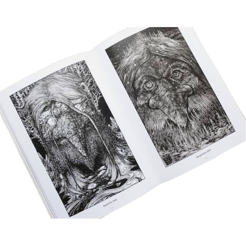 Owls, Trolls & Dead King's Skulls: The Art Of David Thierree Book