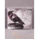 The Haunted - Exit Wounds CD