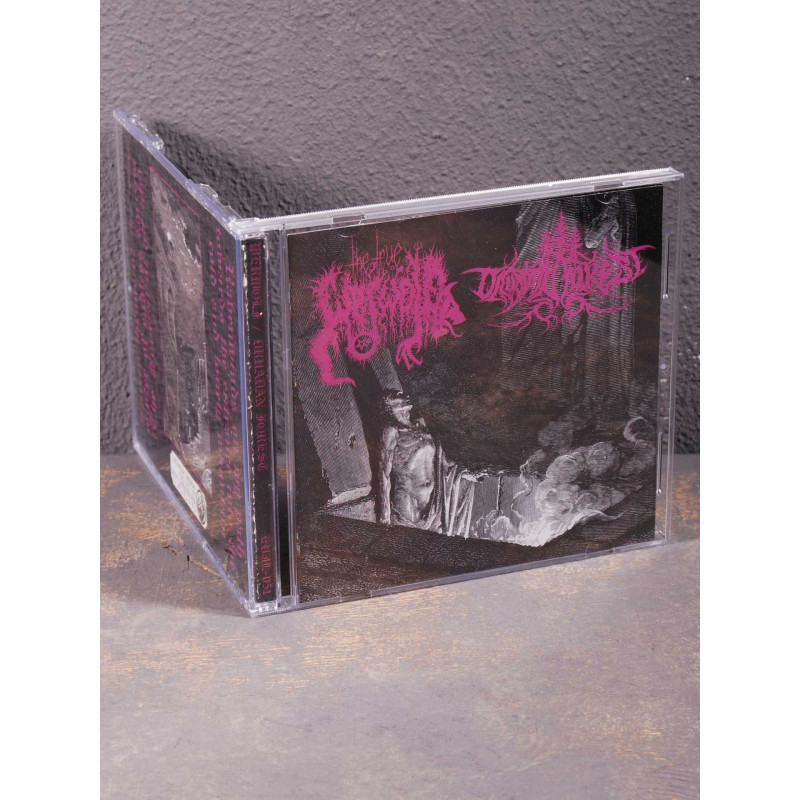 The True Werwolf / Druadan Forest - Split CD (Used)