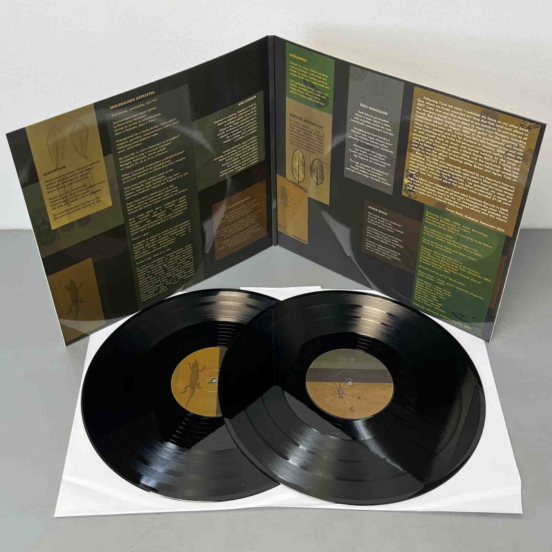 Thy Catafalque - Roka Hasa Radio 2LP (Gatefold Black Vinyl)