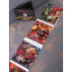 Various - Terror Tales A Tribute To Death SS 3CD Digi